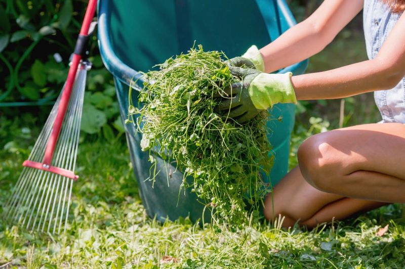 Lawn Raking Service