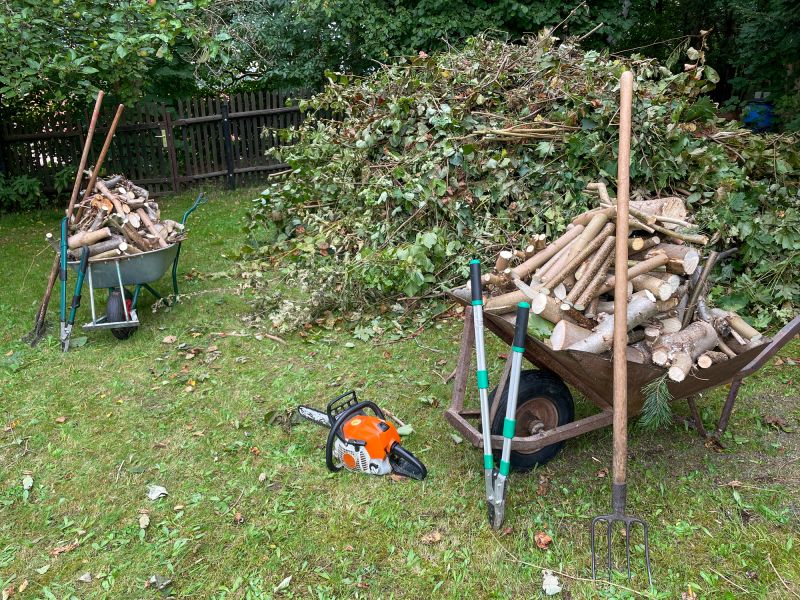 Japanese Knotwood Removal