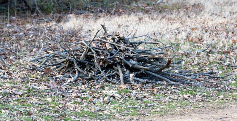 Eco-Friendly Options